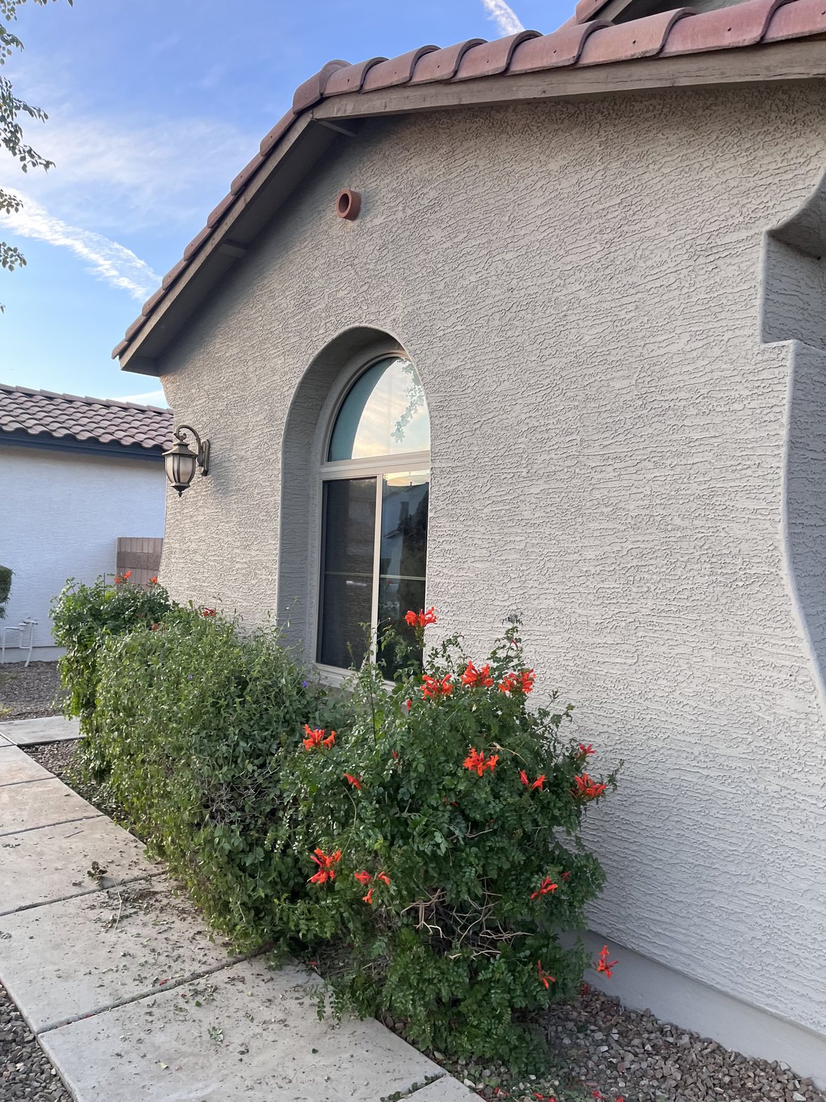 Side wall of an Arizona home painted by Happy Brush Painters &mdash; pale stucco with an arched window, flowering shrub in the foreground